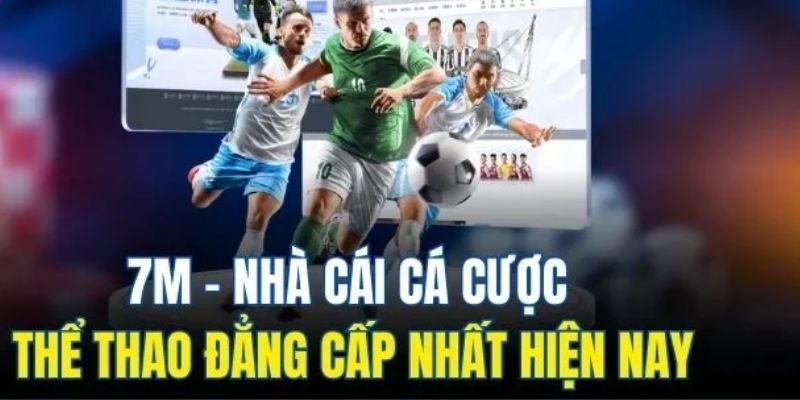 Tổng quan nhà cái 7M