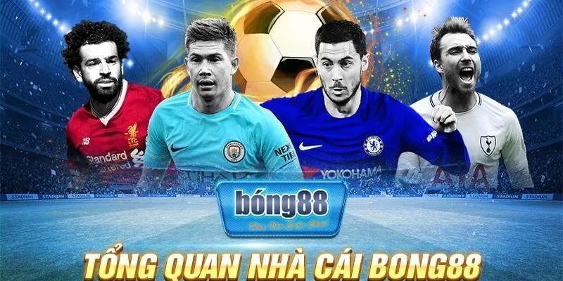 Tổng quan nhà cái bong88