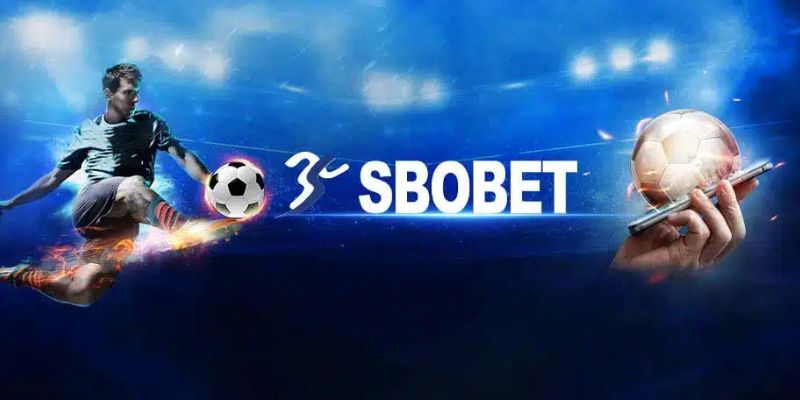 Nên chọn Sbobet để chơi